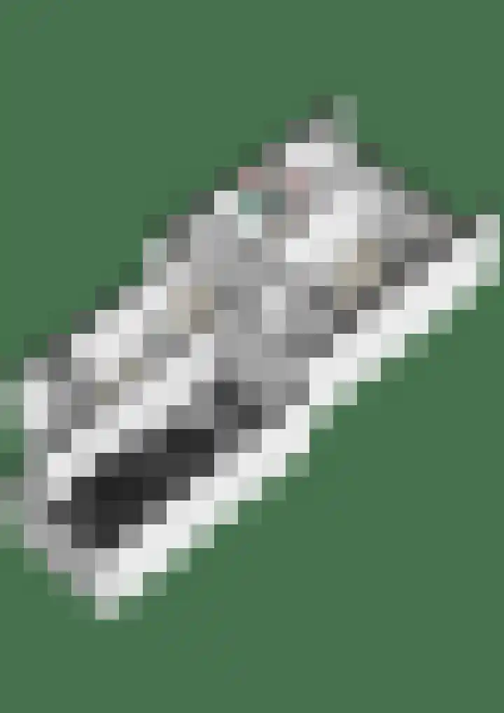 Dokter Kanterslaan 232 Grave thumbnail 31
