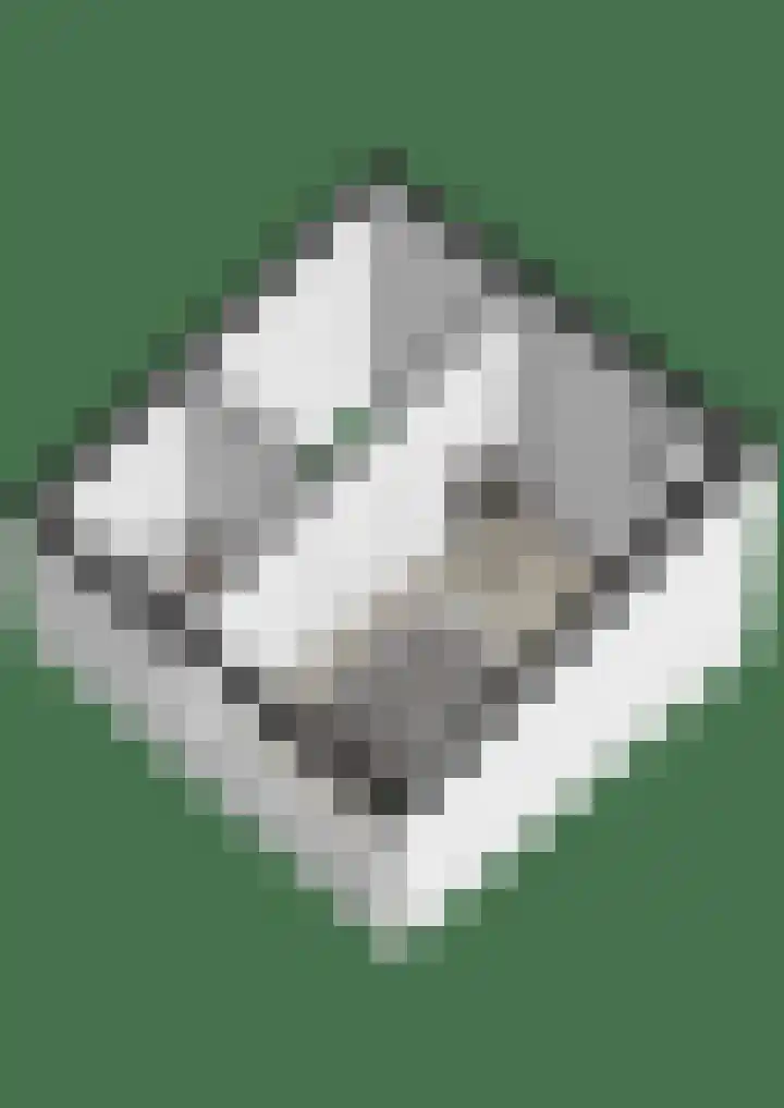 Dokter Kanterslaan 232 Grave thumbnail 35