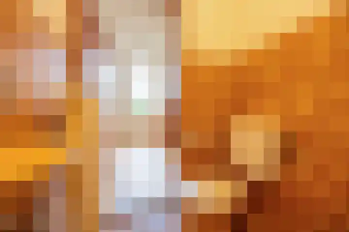 Dokter Kanterslaan 232 Grave thumbnail 8