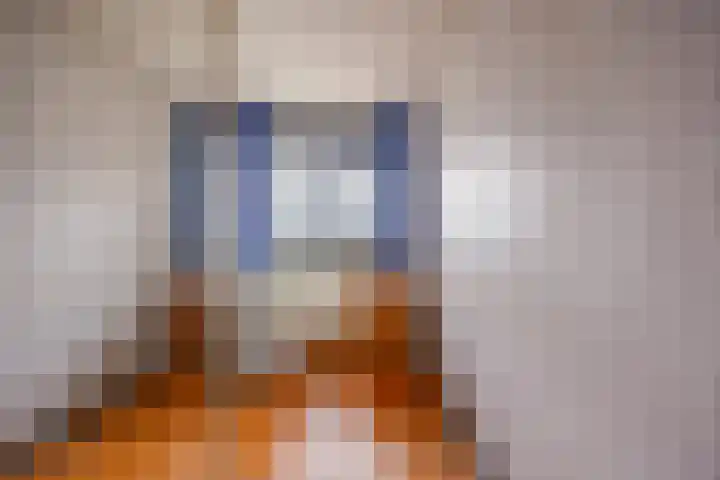 Dokter Kanterslaan 232 Grave thumbnail 9