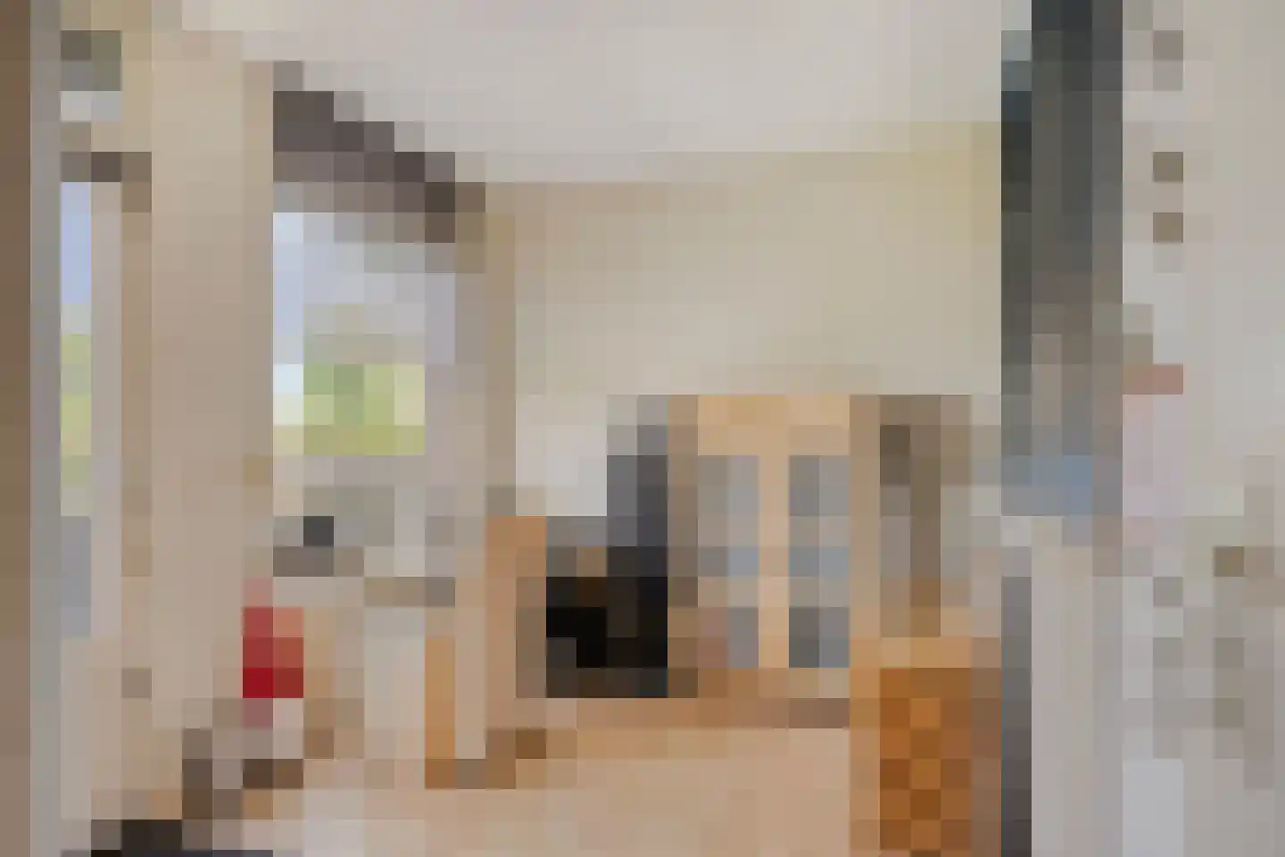Dokter Kanterslaan 236 Grave thumbnail 11