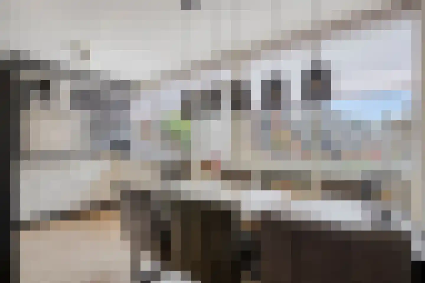 Dokter Kanterslaan 236 Grave thumbnail 14