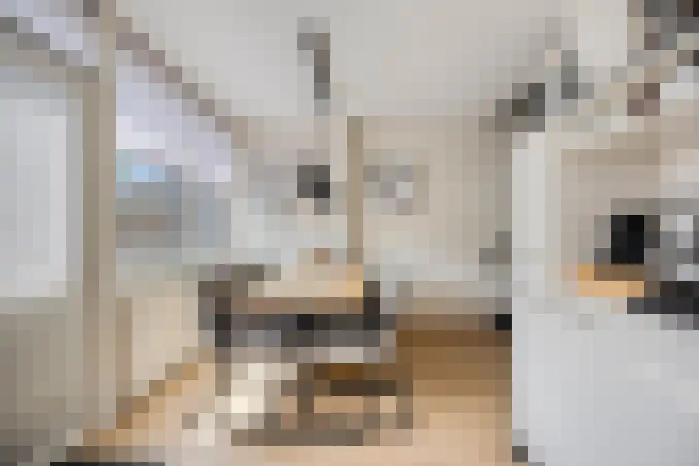 Dokter Kanterslaan 236 Grave thumbnail 16