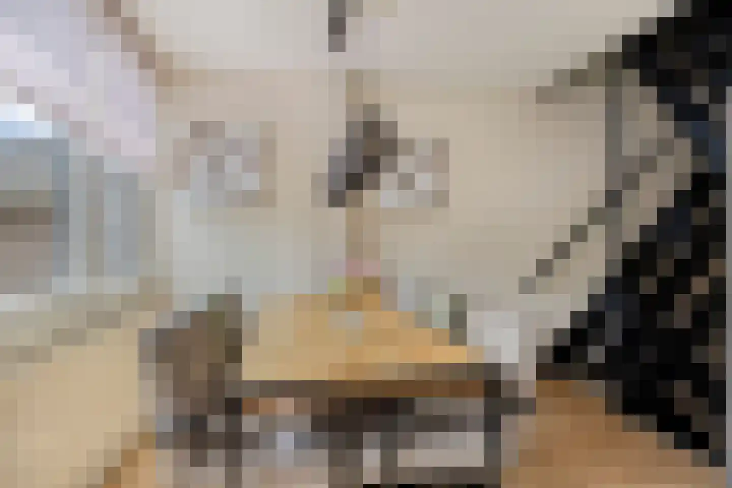 Dokter Kanterslaan 236 Grave thumbnail 17