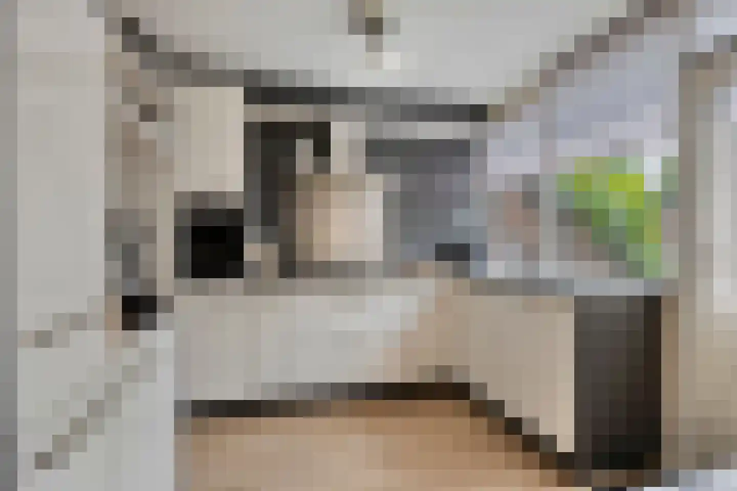 Dokter Kanterslaan 236 Grave foto 2