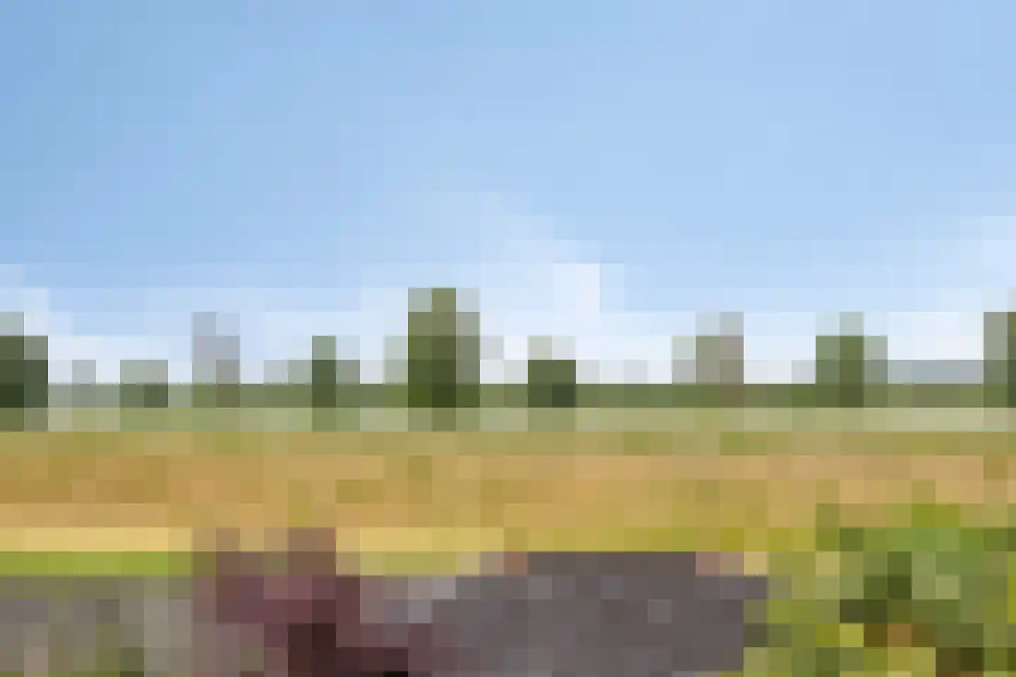 Dokter Kanterslaan 236 Grave thumbnail 22
