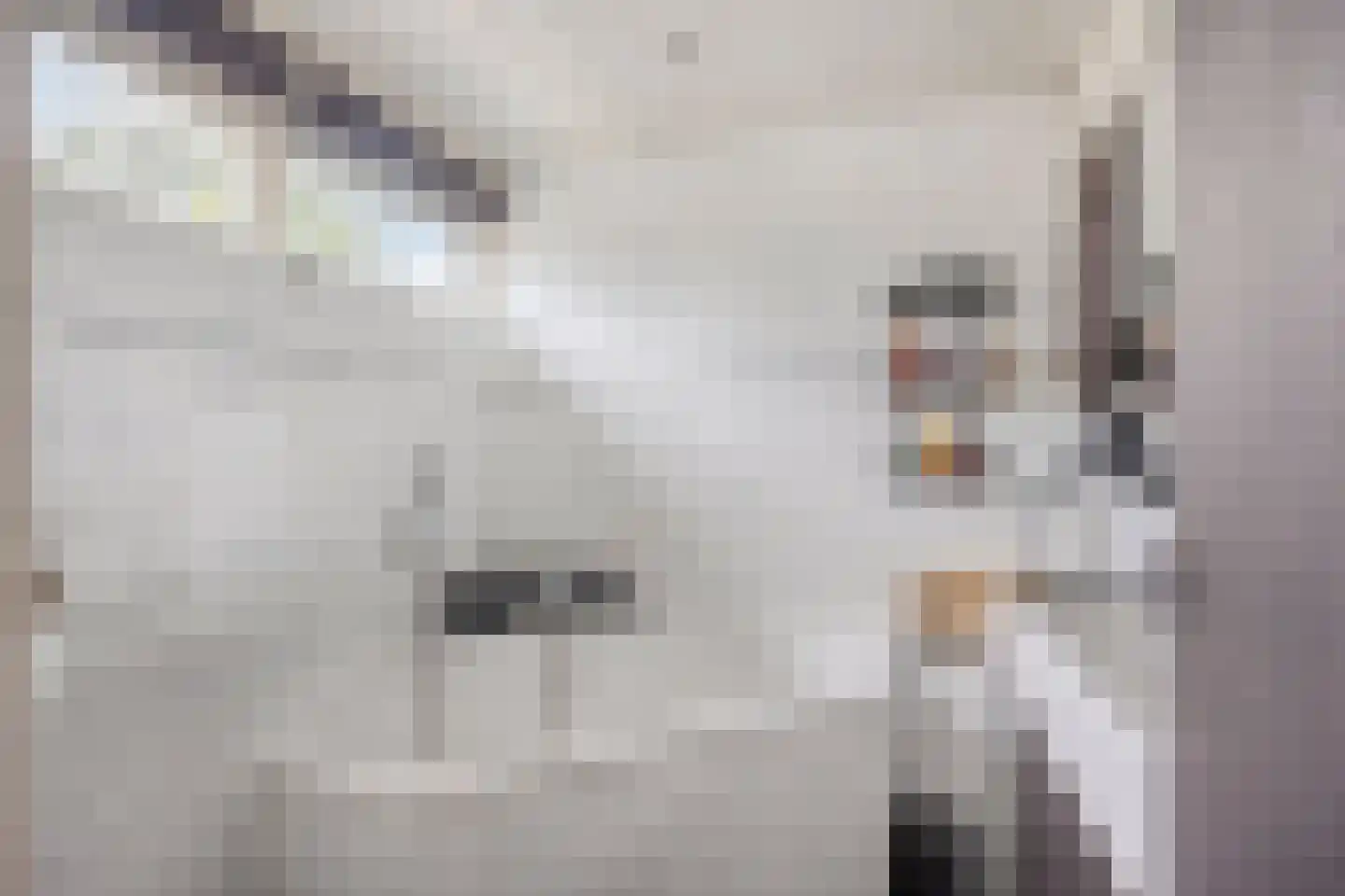 Dokter Kanterslaan 236 Grave thumbnail 31