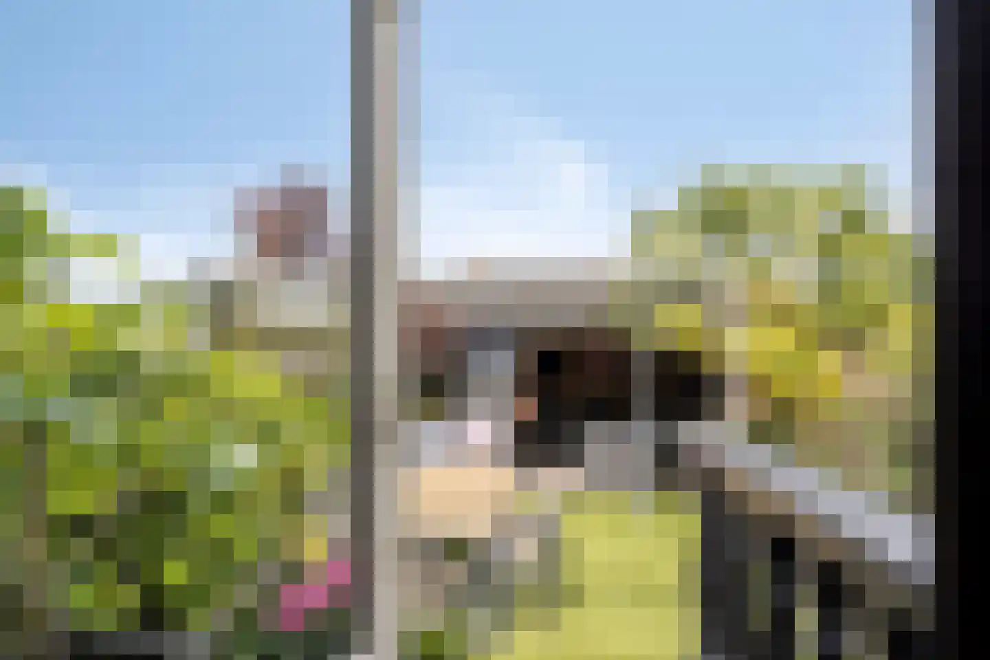 Dokter Kanterslaan 236 Grave thumbnail 33