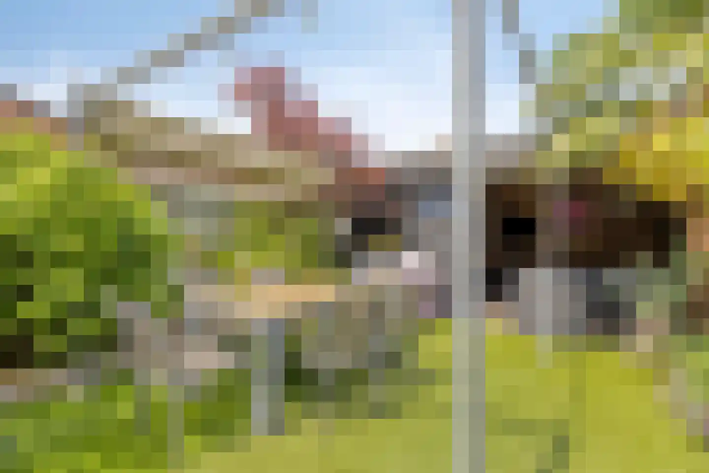 Dokter Kanterslaan 236 Grave thumbnail 34