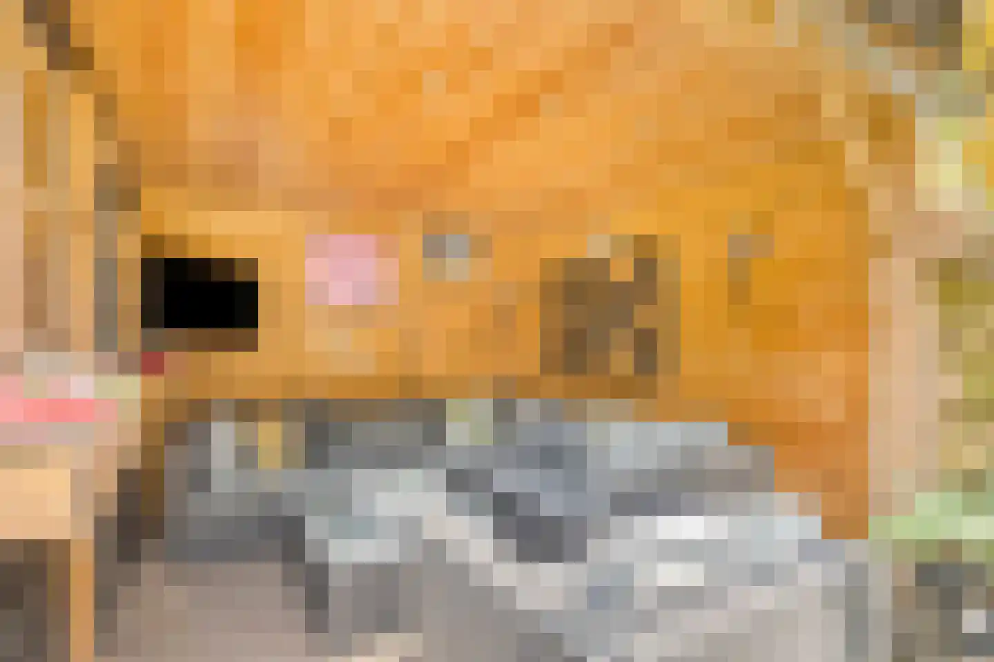 Dokter Kanterslaan 236 Grave thumbnail 35