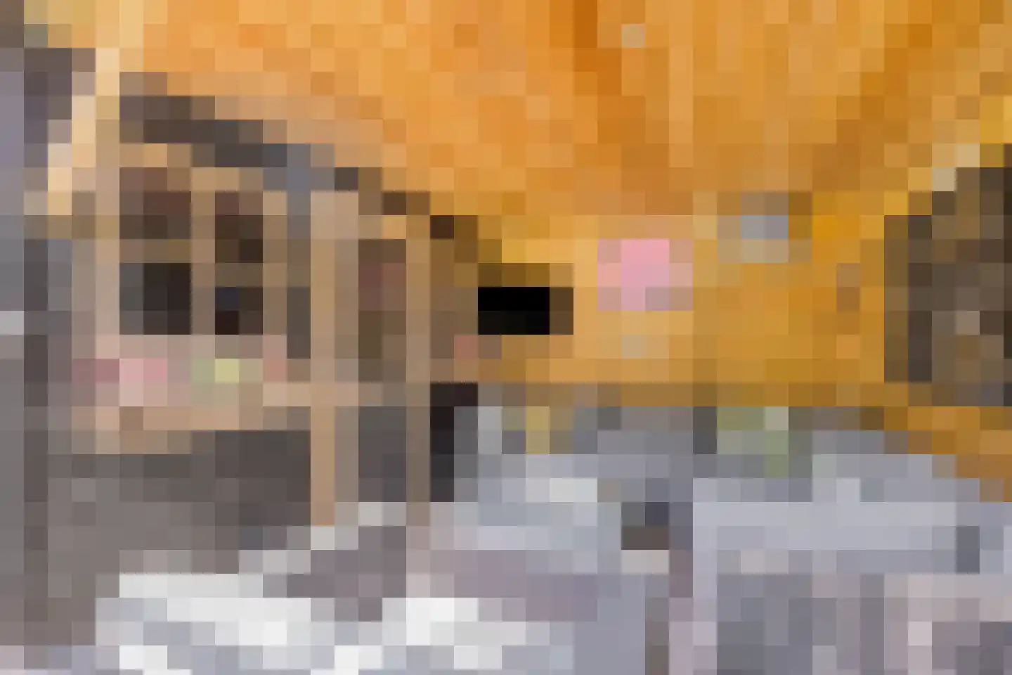 Dokter Kanterslaan 236 Grave thumbnail 36
