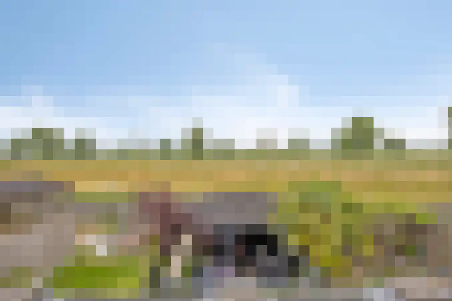 Dokter Kanterslaan 236 Grave thumbnail 4