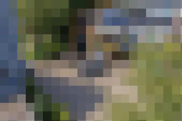 Dokter Kanterslaan 270 Grave