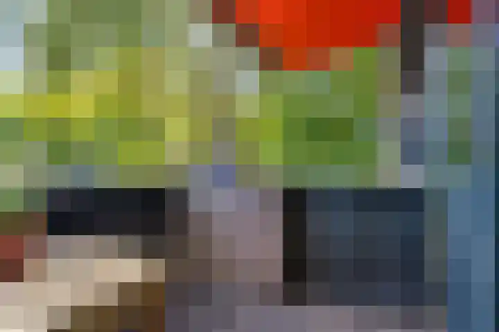 Dokter Kanterslaan 270 Grave thumbnail 13