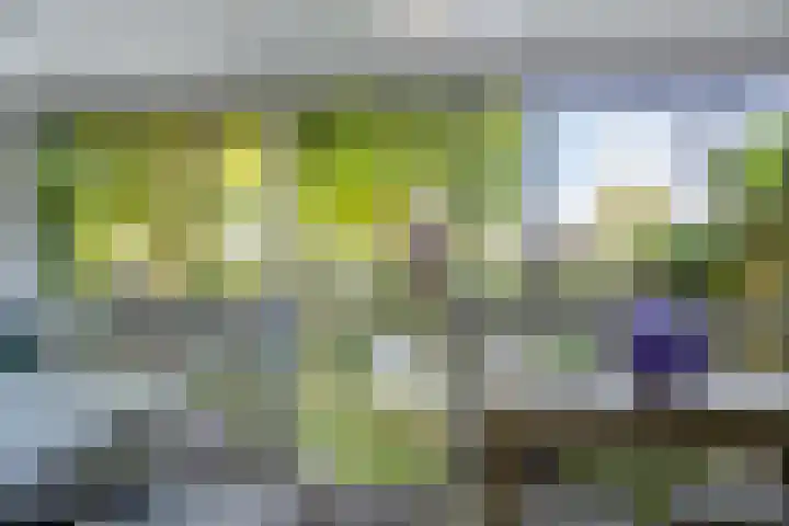 Dokter Kanterslaan 270 Grave thumbnail 18