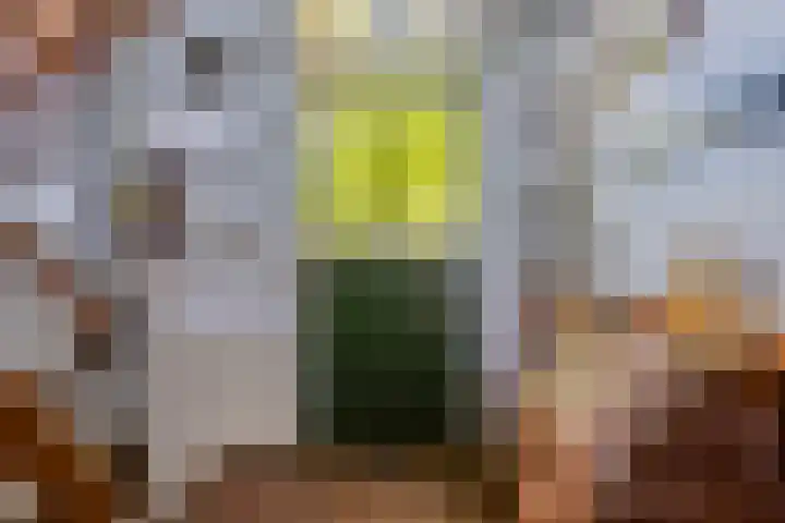 Dokter Kanterslaan 270 Grave thumbnail 19