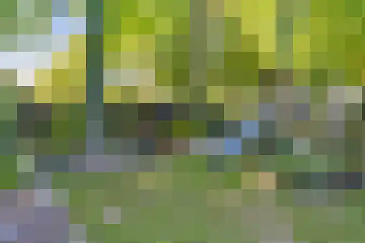 Dokter Kanterslaan 270 Grave foto 2