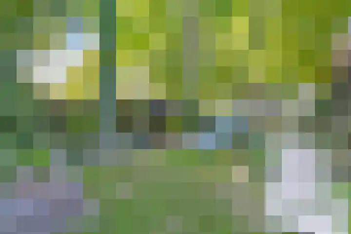 Dokter Kanterslaan 270 Grave thumbnail 25