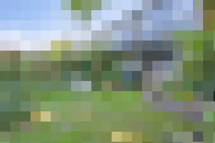 Dokter Kanterslaan 270 Grave thumbnail 26