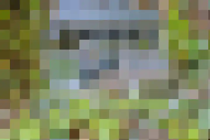 Dokter Kanterslaan 270 Grave thumbnail 27
