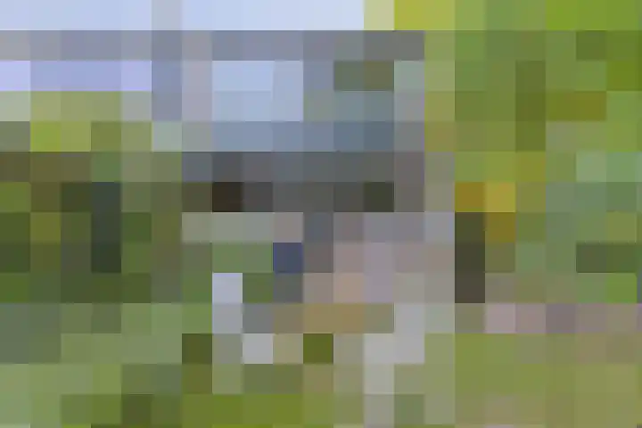 Dokter Kanterslaan 270 Grave thumbnail 28