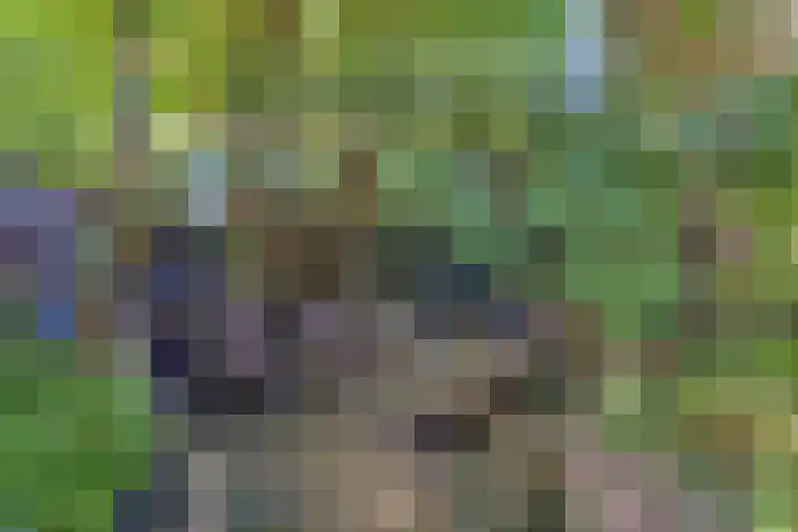 Dokter Kanterslaan 270 Grave thumbnail 30