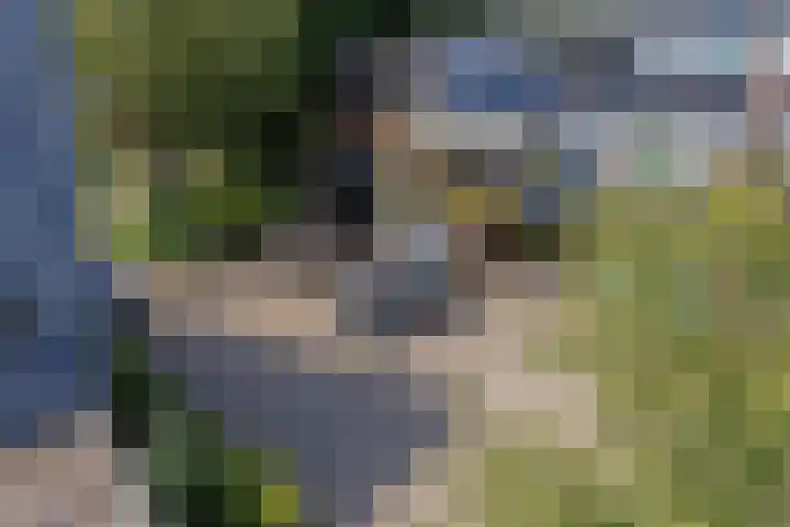 Dokter Kanterslaan 270 Grave thumbnail 32