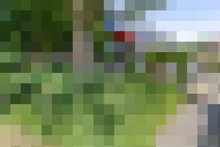 Dokter Kanterslaan 270 Grave thumbnail 34