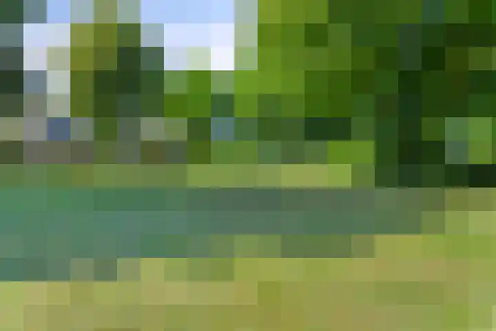 Dokter Kanterslaan 270 Grave thumbnail 35