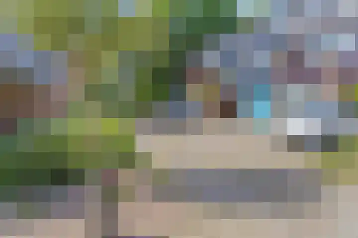 Dokter Kanterslaan 270 Grave thumbnail 36