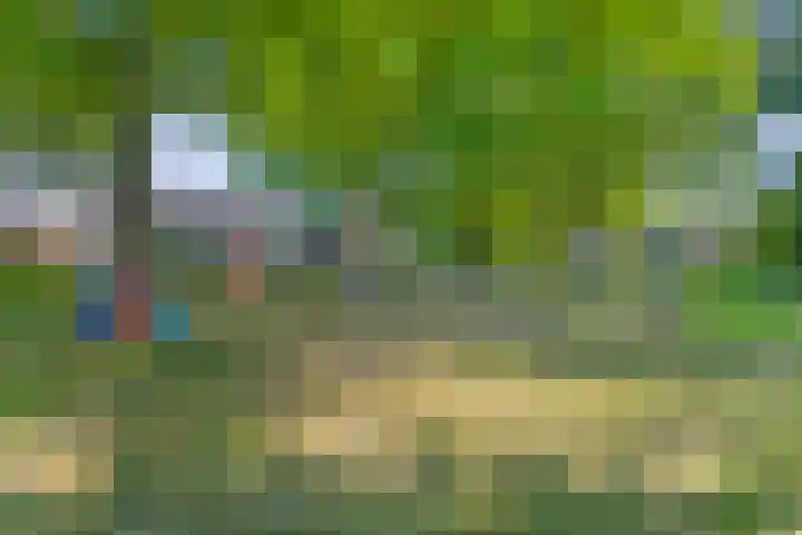 Dokter Kanterslaan 270 Grave thumbnail 37