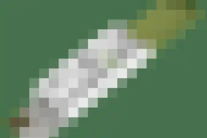 Dokter Kanterslaan 270 Grave thumbnail 39
