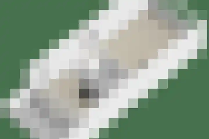 Dokter Kanterslaan 270 Grave thumbnail 43