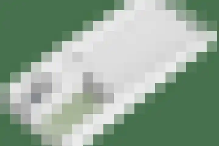Dokter Kanterslaan 270 Grave thumbnail 45