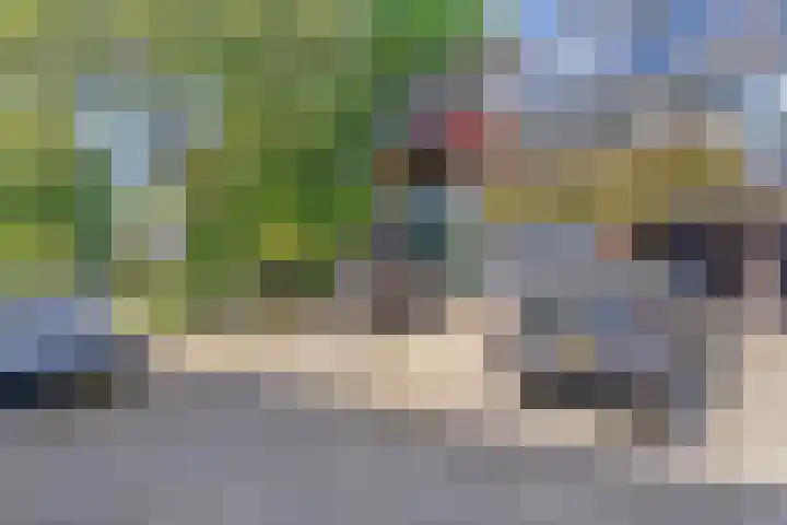 Dokter Kanterslaan 270 Grave thumbnail 5