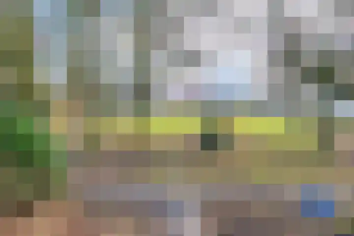 Dokter Kanterslaan 3 Grave thumbnail 11