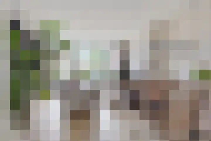 Dokter Kanterslaan 3 Grave thumbnail 14
