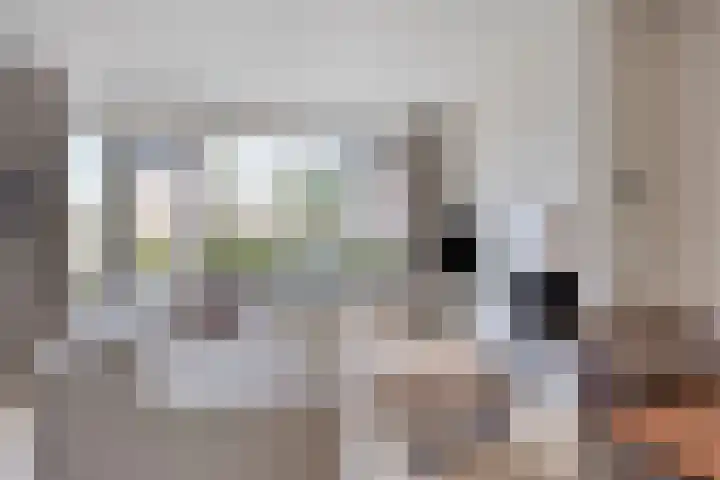 Dokter Kanterslaan 3 Grave thumbnail 15