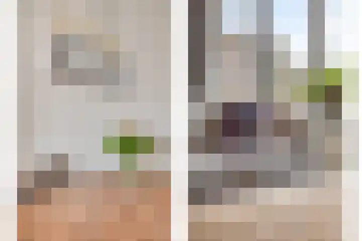 Dokter Kanterslaan 3 Grave thumbnail 16