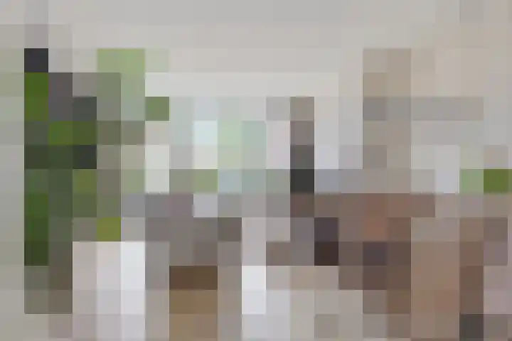Dokter Kanterslaan 3 Grave foto 2