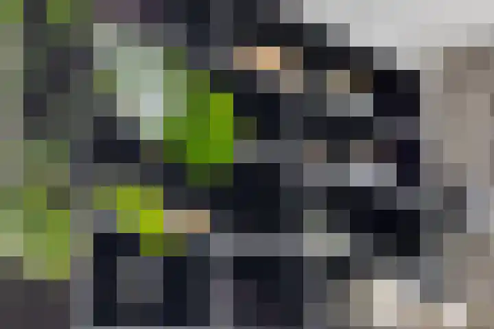 Dokter Kanterslaan 3 Grave thumbnail 22