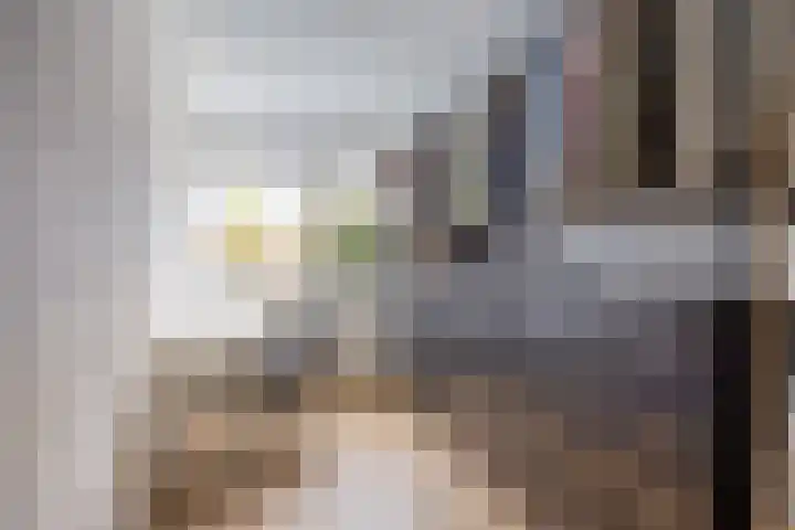 Dokter Kanterslaan 3 Grave thumbnail 27