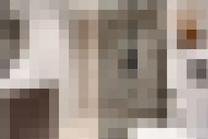 Dokter Kanterslaan 3 Grave thumbnail 31