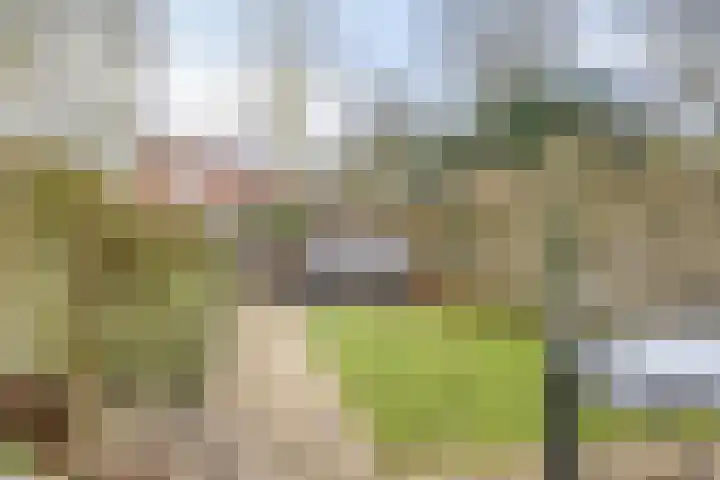 Dokter Kanterslaan 3 Grave thumbnail 38
