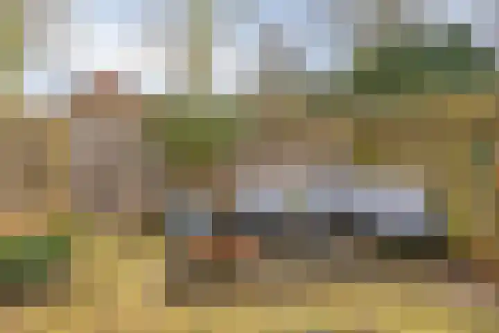 Dokter Kanterslaan 3 Grave thumbnail 39