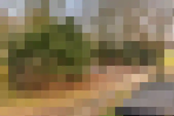 Dokter Kanterslaan 3 Grave thumbnail 41