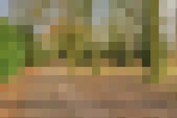 Dokter Kanterslaan 3 Grave thumbnail 42