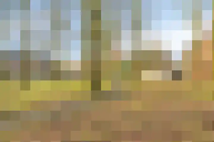 Dokter Kanterslaan 3 Grave thumbnail 43