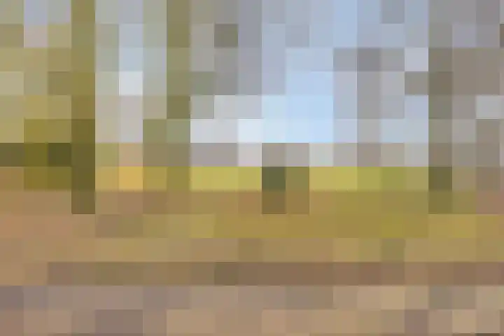 Dokter Kanterslaan 3 Grave thumbnail 44