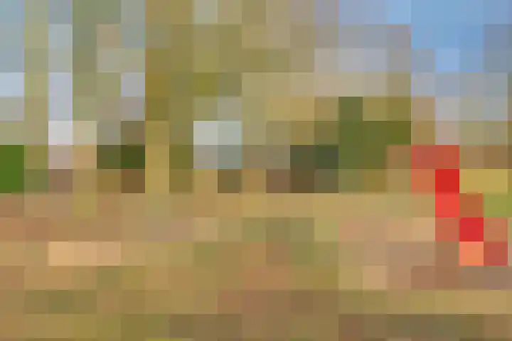 Dokter Kanterslaan 3 Grave thumbnail 45